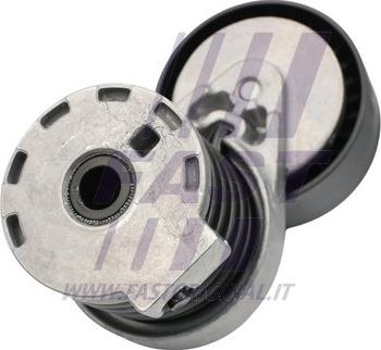 Fast FT44687 - Натяжитель, поликлиновый ремень www.autospares.lv