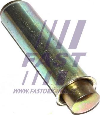 Fast FT44081 - Spriegotājrullītis, Gāzu sadales mehānisma piedziņas siksna www.autospares.lv