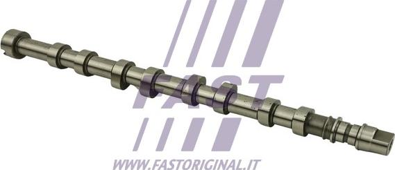 Fast FT45078 - Sadales vārpsta www.autospares.lv