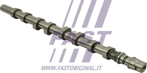 Fast FT45077 - Sadales vārpsta www.autospares.lv