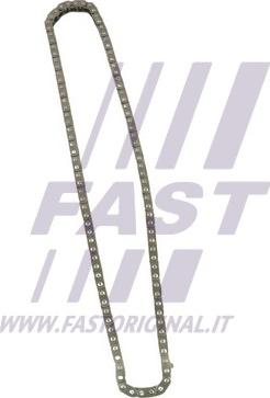 Fast FT41808 - Sadales vārpstas piedziņas ķēde autospares.lv