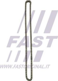 Fast FT41807 - Sadales vārpstas piedziņas ķēde www.autospares.lv