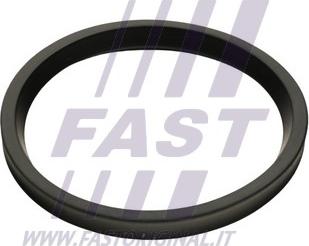 Fast FT48947 - Blīvgredzens, Gaisa pūtes caurule www.autospares.lv