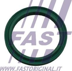 Fast FT48933 - Blīvgredzens, Gaisa pūtes caurule www.autospares.lv