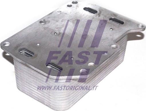 Fast FT55143 - Eļļas radiators, Motoreļļa www.autospares.lv