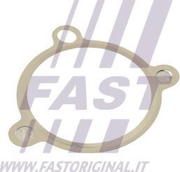 Fast FT50605 - Blīve, Izplūdes gāzu recirkulācijas vārsts www.autospares.lv