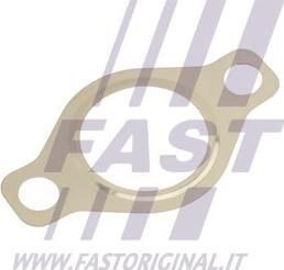 Fast FT50618 - Blīve, Izplūdes gāzu recirkulācijas vārsts www.autospares.lv