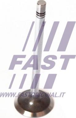 Fast FT50135 - Ieplūdes vārsts www.autospares.lv