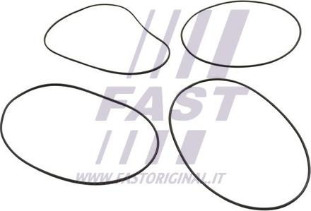 Fast FT50751 - Blīvju komplekts, Cilindra čaula www.autospares.lv