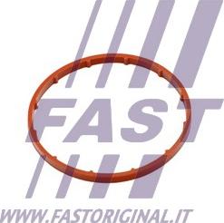 Fast FT50701 - Blīve, Vakuumsūknis www.autospares.lv