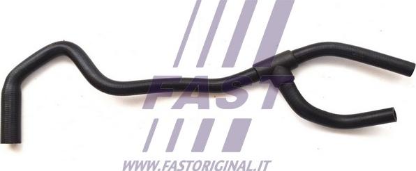 Fast FT61039 - Radiatora cauruļvads www.autospares.lv