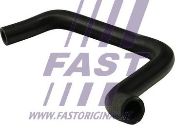 Fast FT61124 - Šļūtene, Apsildes sistēmas siltummainis www.autospares.lv