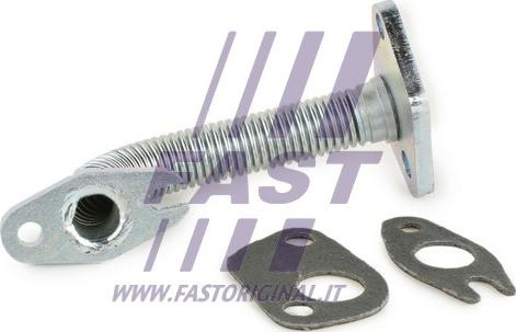 Fast FT61317 - Eļļas šļūtene www.autospares.lv