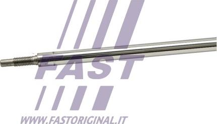 Fast FT11175 - Amortizators www.autospares.lv