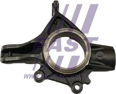 Fast FT13553 - Grozāmass statne, Riteņa piekare www.autospares.lv