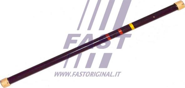 Fast FT13528 - Nesošā svira, Torsions www.autospares.lv