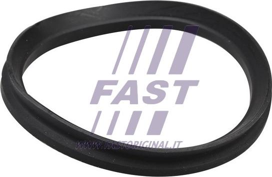 Fast FT12192 - Blīve, Amortizatora statnes balsts www.autospares.lv