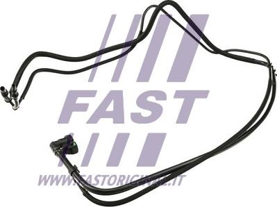 Fast FT39599 - Degvielas šļūtene www.autospares.lv