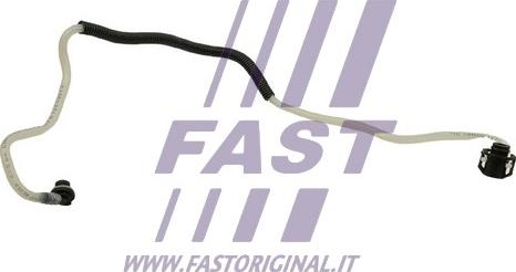 Fast FT39591 - Degvielas šļūtene www.autospares.lv