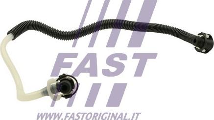 Fast FT39569 - Degvielas šļūtene www.autospares.lv