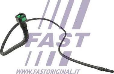 Fast FT39603 - Degvielas šļūtene www.autospares.lv