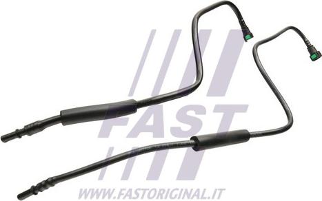 Fast FT39625 - Degvielas šļūtene www.autospares.lv