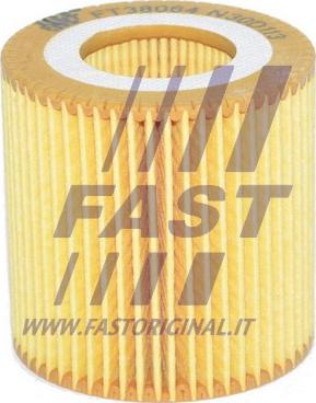 Fast FT38064 - Масляный фильтр www.autospares.lv