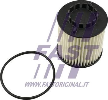 Fast FT38023 - Oil Filter www.autospares.lv