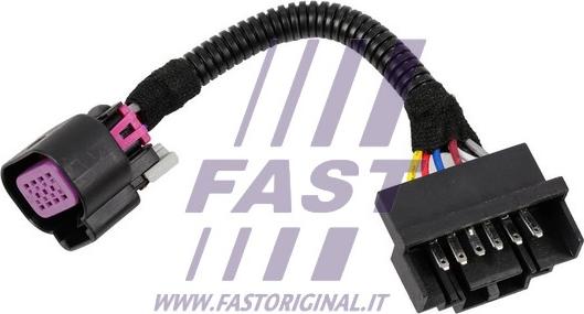 Fast FT76103 - Vadu komplekts, Darba gaismas lukturis www.autospares.lv