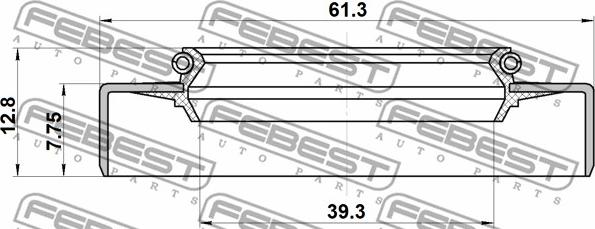 Febest 95GDW-41610813R - Vārpstas blīvgredzens, Piedziņas vārpsta www.autospares.lv