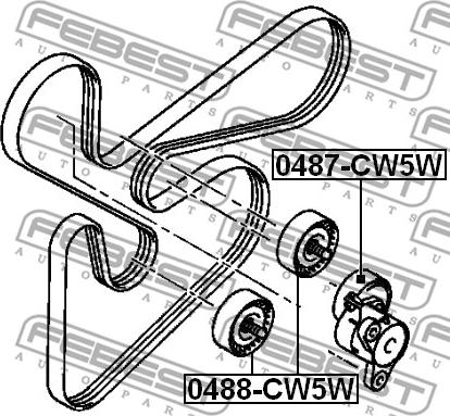 Febest 0488-CW5W - Ролик, поликлиновый ремень www.autospares.lv