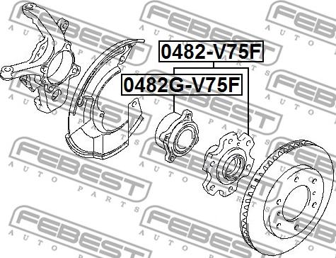 Febest 0482G-V75F - Riteņa rumba www.autospares.lv