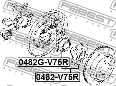 Febest 0482G-V75R - Riteņa rumba www.autospares.lv