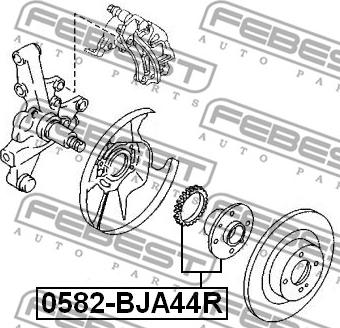 Febest 0582-BJA44R - Riteņa rumba www.autospares.lv