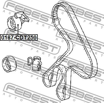 Febest 0187-CDT250 - Spriegotājrullītis, Gāzu sadales mehānisma piedziņas siksna www.autospares.lv