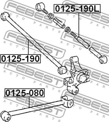 Febest 0125-080 - Neatkarīgās balstiekārtas svira, Riteņa piekare www.autospares.lv