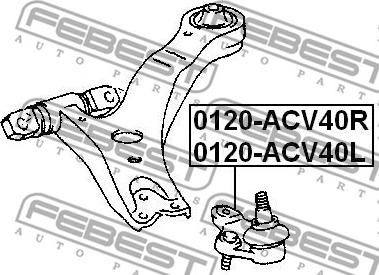 Febest 0120-ACV40R - Balst / Virzošais šarnīrs www.autospares.lv