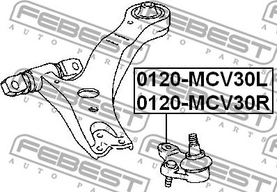 Febest 0120-MCV30L - Balst / Virzošais šarnīrs www.autospares.lv