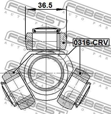 Febest 0316-CRV - 'Tripod' šarnīrs, Piedziņas vārpsta www.autospares.lv