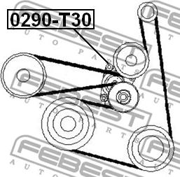 Febest 0290-T30 - Siksnas spriegotājs, Ķīļsiksna www.autospares.lv