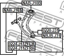 Febest 0224-J11ZFLH - Neatkarīgās balstiekārtas svira, Riteņa piekare www.autospares.lv