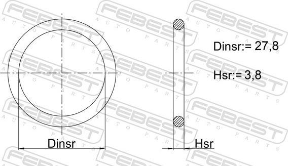 Febest 07400-001 - Blīvgredzens, Radiatora vāciņa skrūve www.autospares.lv