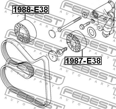 Febest 1987-E38 - Parazīt / Vadrullītis, Ķīļrievu siksna www.autospares.lv