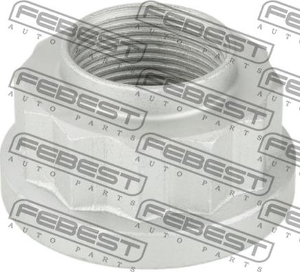 Febest 1698-NHUB02 - Uzgrieznis, Riteņa rumba www.autospares.lv