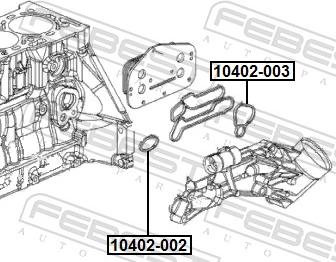 Febest 10402-003 - Blīve, Eļļas radiators www.autospares.lv