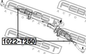 Febest 1022-T250 - Aksiālais šarnīrs, Stūres šķērsstiepnis www.autospares.lv