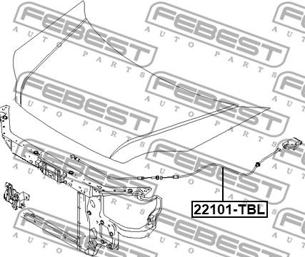 Febest 12101-TBL - Motora pārsega slēdzenes trose www.autospares.lv