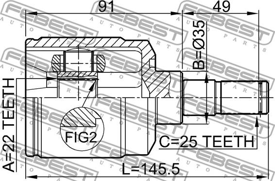 Febest 1211-ACC - Šarnīru komplekts, Piedziņas vārpsta www.autospares.lv