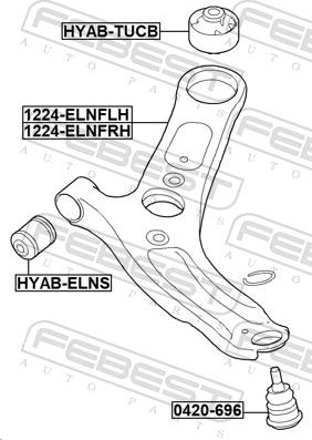 Febest 1224-ELNFLH - Neatkarīgās balstiekārtas svira, Riteņa piekare www.autospares.lv