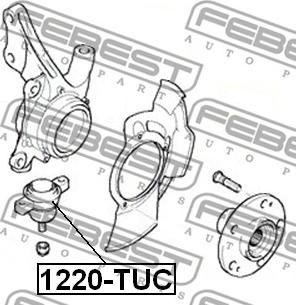 Febest 1220-TUC - Balst / Virzošais šarnīrs www.autospares.lv